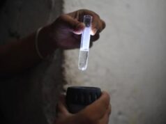 Dengue allarma il Brasile, ma preoccupano anche Zika e Chikungunya