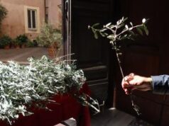 E’ la Domenica delle palme, cosa si celebra e perché si usano i rami d’ulivo