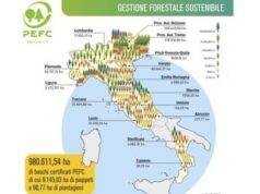 Foreste certificate, un milione di ettari targati Pefc