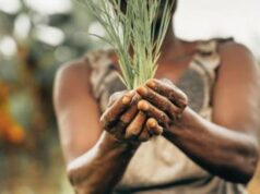 I cambiamenti climatici influenzano le disuguaglianze di genere, come e quanto?