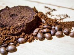 I fondi del caffè per proteggere l’ambiente