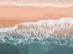 Il Mediterraneo è a rischio soffocamento: ecco cause e conseguenze