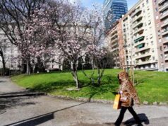 In arrivo un assaggio di primavera, le previsioni meteo di oggi e domani