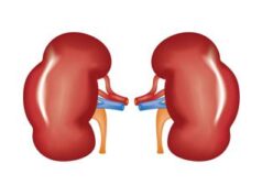 Malattia renale cronica in aumento, ne soffrono in oltre 800 milioni
