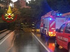 Maltempo in Liguria, cadono alberi e massi sull’Aurelia: strada chiusa in due tratti