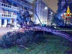 Maltempo nel biellese, alberi caduti e allagamenti