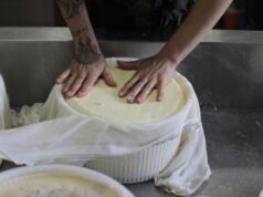 Montagna, al via la nuova edizione della scuola per malgari