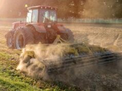 Smart Agrifood, tra carbon farming e digitalizzazione: a che punto siamo