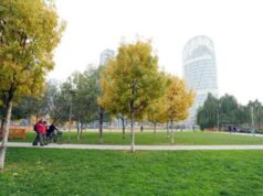 Smog fa male anche alle ossa, con più verde meno osteoporosi