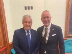 Ssn a pagamento per gli italiani all’estero, “progetto svolta per 6 milioni di connazionali”