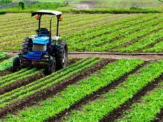 Un’Europa “sociale” attenta alle sfide dell’agricoltura, il manifesto Cia – Agricoltori italiani