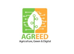 Agricoltura, nasce sistema Agreed: droni e satelliti per prevenire malattie ortofrutta