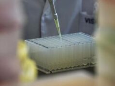 Aviaria, bimbo di 4 anni contagiato da virus H9N2 in India