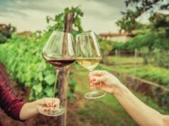 Cresce enoturismo in Italia: identikit di cantine e visitatori. Ma che spazio c’è per la sostenibilità?