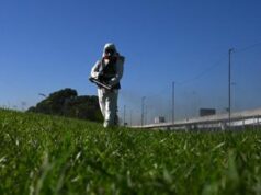 Dengue, Oms Europa: “In Italia oltre 100 casi da inizio anno”