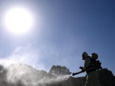 Dengue, coppia contagiata in Umbria: “Avevano fatto un viaggio all’estero”