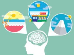 Disturbi della memoria, scoperto come il cervello distingue e conserva eventi simili