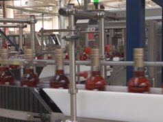 Fantacchiotti: “Campari brand in forte crescita nel segno sostenibilità”