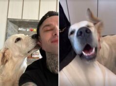 Ferragni, Fedez e l’amore per Paloma: segnali di ‘disgelo’ tra i due?