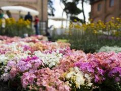 Floracult, torna a Roma la mostra mercato al parco di Veio dal 25 al 28 aprile