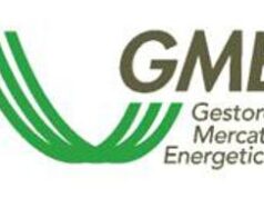 Gme, a maggio debutta nuovo sito