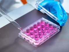 I nani superlongevi dell’Ecuador hanno il cuore protetto, lo studio