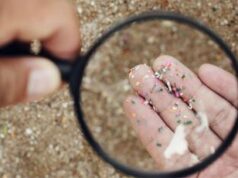 Incubo microplastiche, dal cibo ai vestiti 10 regole per proteggersi