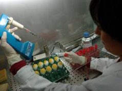 Influenza aviaria, contagiato un uomo in Texas: è il secondo caso negli Usa