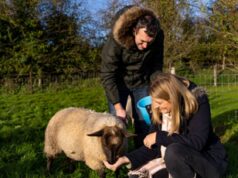 L’Irlanda cerca amici della natura, vitto e alloggio in cambio di aiuto