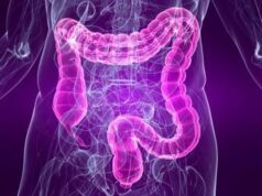 Medicina, sindrome intestino irritabile e sistema cardiovascolare sono legati