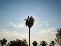 Naufraghi in un atollo del Pacifico, si salvano grazie a un ‘help’ sulla spiaggia