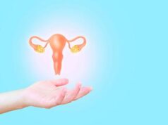 Passo avanti verso ovaio artificiale, creato primo atlante cellulare