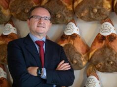 Peste suina: Canada blocca export prosciutti Parma, imprenditori preoccupati: “Urgente recintare zone”