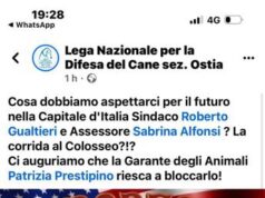 Rodeo e monta tori a Roma, indignazione cittadini, Prestipino scrive al Sindaco