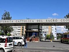 Roma, bimba morsa da cane alla testa e a un braccio