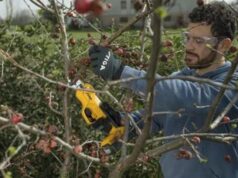 SC 100e Kit di Stiga: la recensione delle forbici da potatura