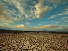 Sicilia chiede stato d’emergenza nazionale per siccità, un allarme per 170 milioni di persone nel mondo