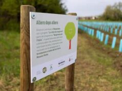 Sostenibilità, a Pradamano nasce un nuovo bosco urbano di 1.000 piante