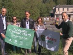 Sostenibilità : forestazione urbana, 750 nuove piante nel quartiere Parella di Torino