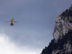Taglia alberi nel bosco, 64enne muore schiacciato nel Bergamasco