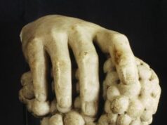 Vinitaly, Lungarotti: “museo del vino compie 50 anni, mostra in fiera per festeggiarlo”