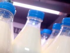 Aviaria in Usa nuovi controlli su latte e derivati, ‘no virus vivi e infettivi’