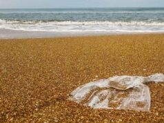 Beach Litter 2024, la top five dei rifiuti raccolti