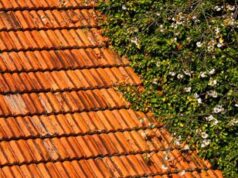 Bioedilizia, isolamento termico: la proposta green da una start up pugliese