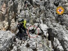 Cane scala montagna e resta bloccato: salvato