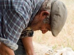 Consumi e abitudini, come è cambiato lo stile di vita in Sardegna