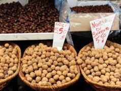 Da uova a noci cibi ‘dimenticati’che fanno bene, la lista degli scienziati