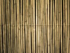 Dal bambù al vetro, la nuova frontiera dell’architettura sostenibile