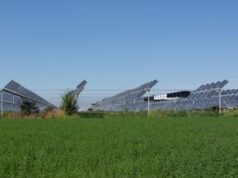 Dl Agricoltura, stop all’agrivoltaico se non permette l’attività agricola