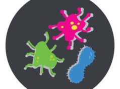 Dopo Covid record streptococco: test e tampone, istruzioni per l’uso